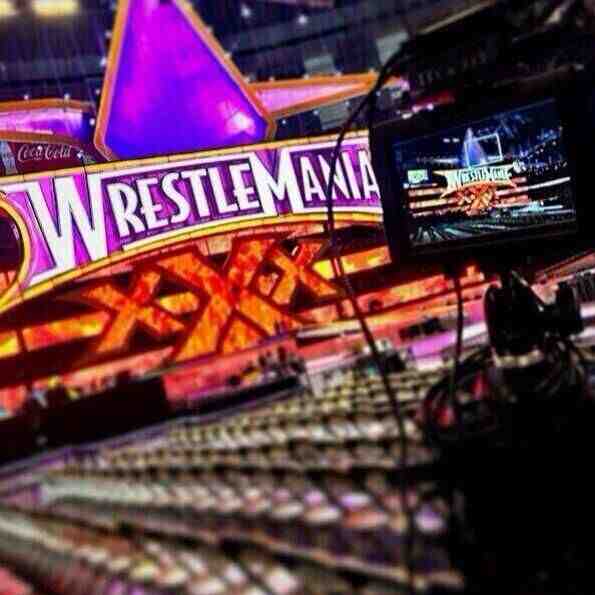 WrestleMania Entrance Set