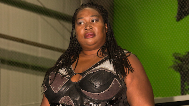 Triple H Wife Sex - Awesome Kong on What to Expect From GLOW, Longterm WWE Plans She Discussed  with Triple H, Netflix Pushing Wrestling's Popularity