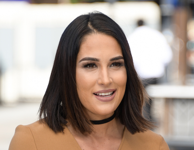 Breakfast In Bed With Brie Bella (PHOTO); Kairi Sane’s Exotic New Finisher