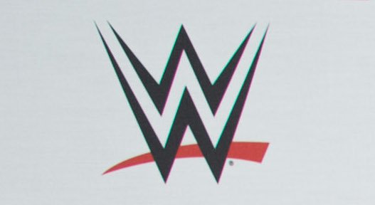 WWE Co-President Michelle Wilson Comments On WWE Doing Business In Different Cultures