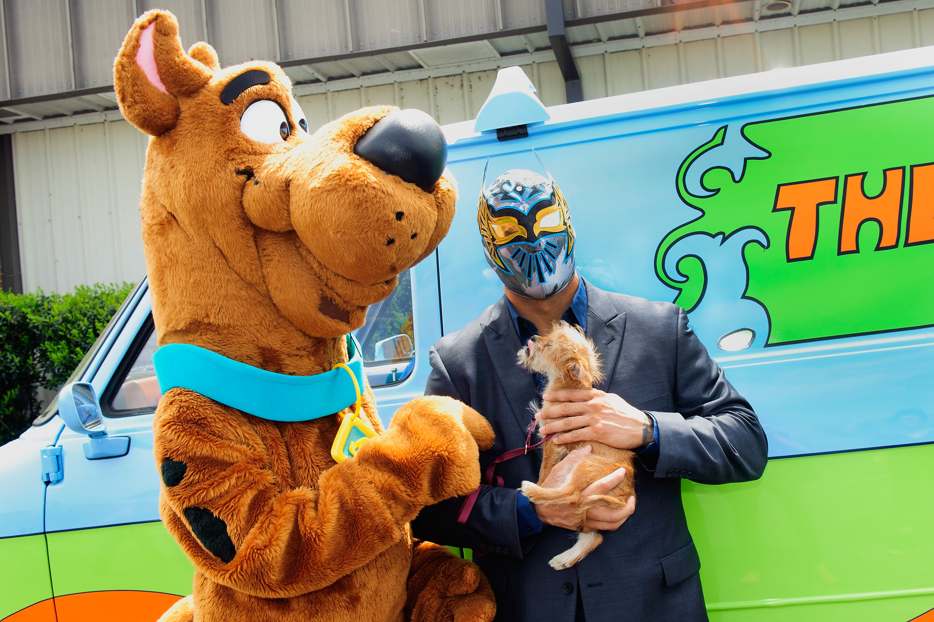 KENNER, LA - APRIL 07:  Scooby-Doo and WWE wrestler Sin Cara pose in front of The Mystery Machine with one of Jeffreson Parish SPCA's adoptable puppies during Scooby Doo and Sina Cara's special appearance at St. Elizabeth Ann Seton School on April 7, 2014 in Kenner, Louisiana.  (Photo by Erika Goldring/Getty Images)