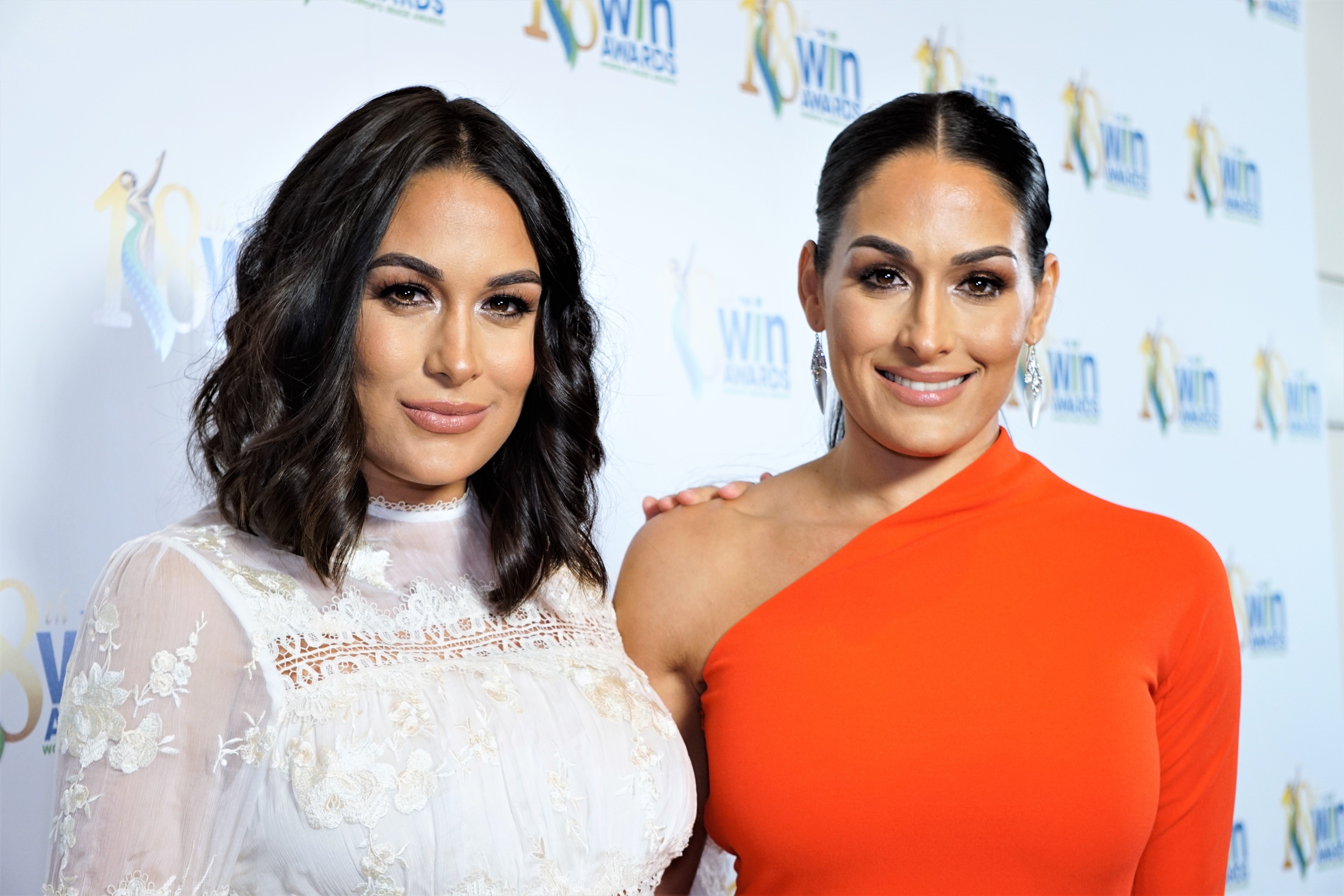 Brie Bella Xxx Video - Brie Bella & Daniel Bryan Soon Trying For Baby #2; Nikki Bella Waiting For  More Money