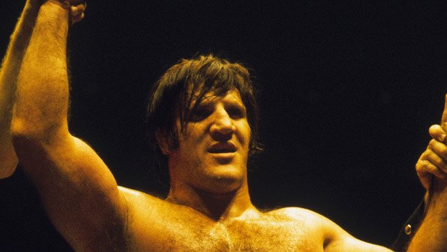 New Bruno Sammartino Comic Now Available – Fans Offered The Opportunity To Appear In Comic