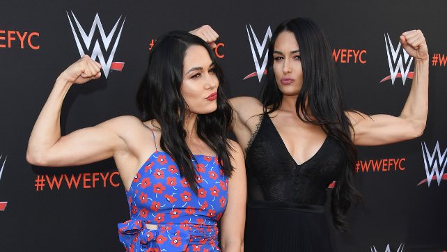 The Bella Twins’ Message For Birdie And Daniel Bryan Ahead Of Their In-Ring Return