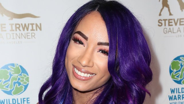 642px x 362px - Sasha Banks Antagonizes Bayley While Poking Fun At Hall Of Famer, WWE  Previews Table For 3 With Alexa, Lita, and Trish (Video) - Wrestlezone