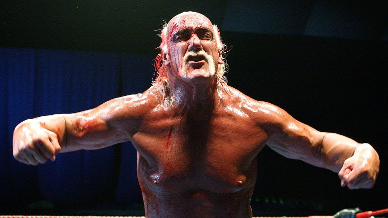 Hulk Hogan Teaches Youngster Hulkamania (VIDEO); New NWO Reunion Details