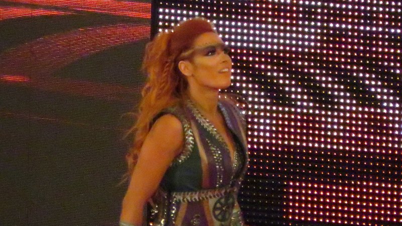Becky Lynch Bares Her Soul On Twitter For This - Wrestlezone