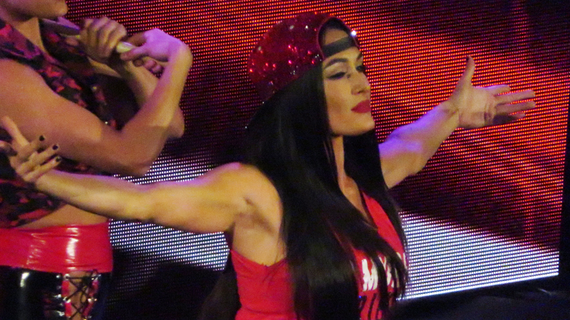 Report: Nikki Bella Resigned To Fate Of Ending Up With Someone Famous