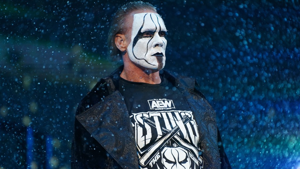 Young Bucks On Sting's AEW Debut: It Was Fun To See Everyone Have A ...