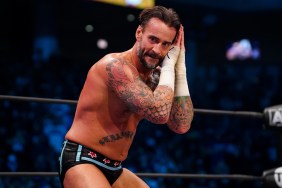 cm punk