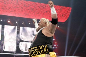 Rikishi