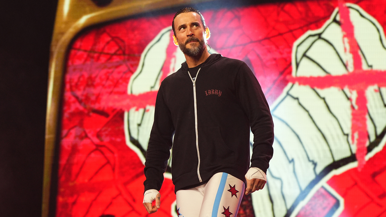 aew wrestling cm punk