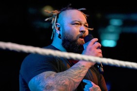 Dwayne Johnson pays heartfelt tribute to WWE's Bray Wyatt: Always had  tremendous respect and love for him - Entertainment News
