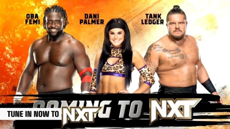 Oba Femi Dani Palmer Tank Ledger WWE NXT