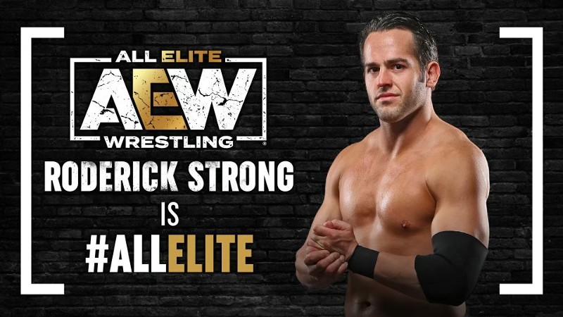 aew all elite wrestling