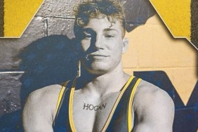 hoke hogan