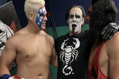 Sting AEW Revolution