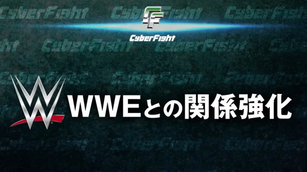 WWE CyberFight