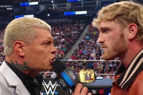 WWE SmackDown Cody Rhodes Logan Paul