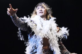 hiroshi tanahashi