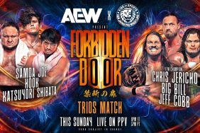 AEW x NJPW Forbidden Door HOOK Samoa Joe Katsuyori Shibata Chris Jericho Big Bill Jeff Cobb