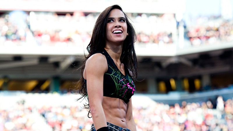 CM Punk On Potential AJ Lee Return: This Is A Brave New World, It’s All On Her