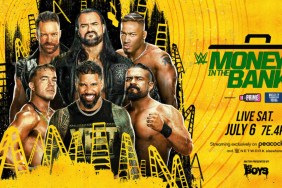 WWE Money in the Bank Men's Ladder Match