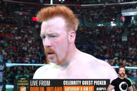 Sheamus WWE RAW