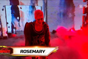 WWE NXT Rosemary