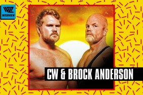 cw brock anderson