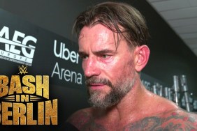 CM Punk WWE Bash In Berlin