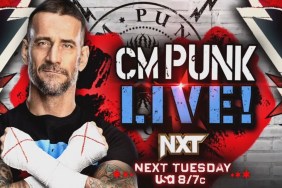 CM Punk WWE NXT