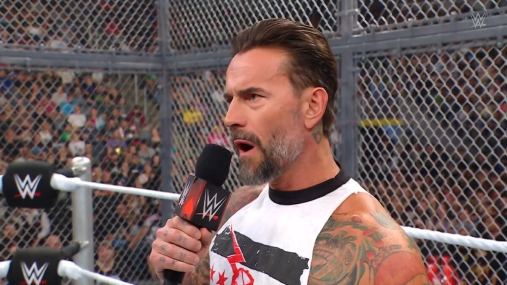 CM Punk WWE RAW