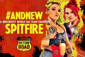 TNA Victory Road Spitfire