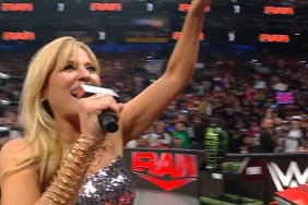 Lilian Garcia WWE RAW