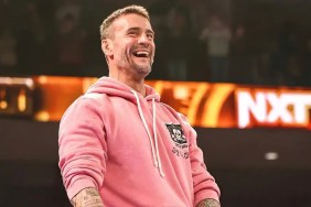 cm punk nxt