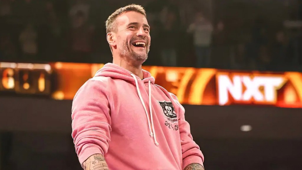 cm punk nxt