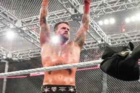 cm punk wwe bad blood