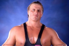 owen hart