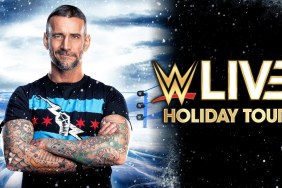 CM Punk WWE Live Holiday Tour