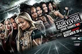 WWE Survivor Series Women's WarGames