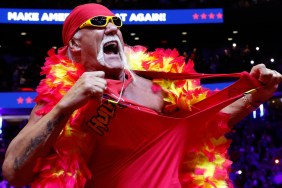 Hulk Hogan