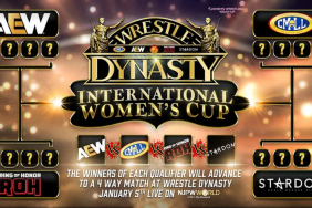 njpw wrestle dynasty