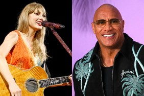 Taylor Swift The Rock