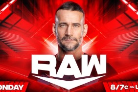 CM Punk WWE RAW