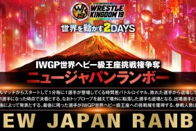 NJPW Wrestle Kingdom 19 New Japan Ranbo