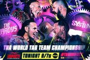 TNA iMPACT The Hardys The System