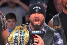 Bully Ray