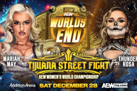 AEW Women's World Title Match Announced For Worlds End, Updated Card