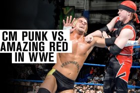 CM Punk Amazing Red